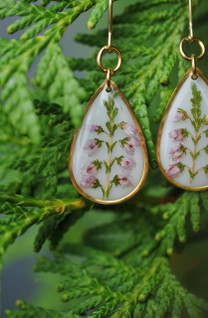 Kanerva -pisarakorvakorut, valkoinen/kulta