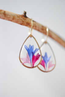 Ruiskaunokki -korvakorut, monivärinen / kulta