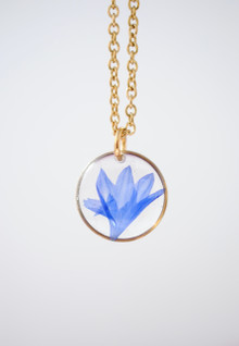 Ruiskaunokki -riipus, sininen / kulta