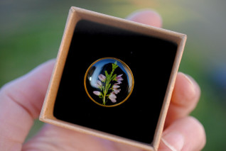 Kanerva -sormus, musta/kulta