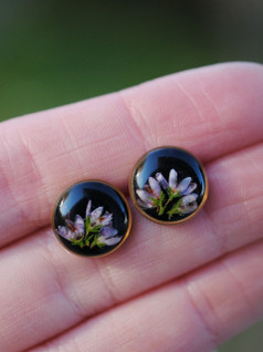 Kanerva -nappikorvikset, musta/kulta