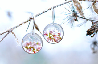 Kanerva -korvakorut, kirkas&hopea