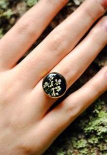 Koiranputki -sormus, musta/kulta