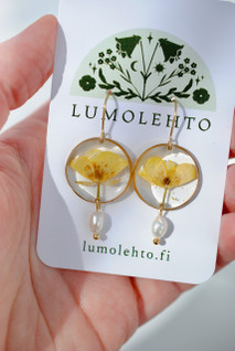 Niittyleinikki-korvakorut, kulta