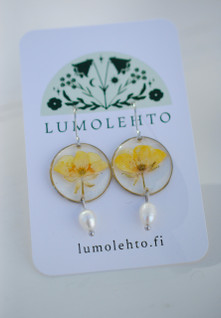 Niittyleinikki-korvakorut, hopea