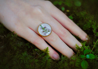 Kanerva -sormus, valkoinen/kulta