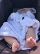 Harmaja pyyhe, valkoinen 