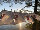 Purjemekko (tytöt)