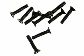 M2X10 F/H SCREW