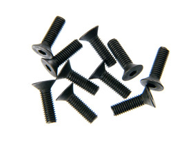 M3X10 F/H SCREW