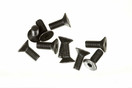 M4X10 F/H CAP SCREW