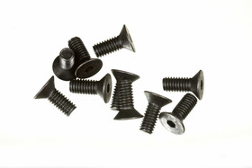 M4X10 F/H CAP SCREW