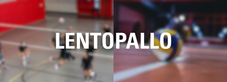 Lentopallon varusteopas: pallo, polvisuojat ja kengät - näin valitset oikein