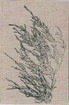 Lehtonen, Joel: Valitut teokset. 1, Putkinotkon herra : kirjeet Sylvia Avellanille 1907-1920