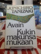 Tanizaki, Junichiro: Avain - Kukin makunsa mukaan