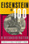 LaValley, Albert J. & Scherr, Barry P.: Eisenstein at 100 : a reconsideration
