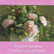 Ödegaard Peter: Kauneimmat kukka-asetelmat