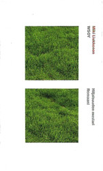 Liukkonen, Miki: Hiljaisuuden mestari