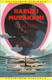  Murakami, Haruki: Maailmanloppu ja ihmemaa