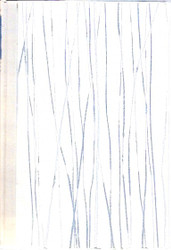 Forster, E. M.: Talo jalavan varjossa   