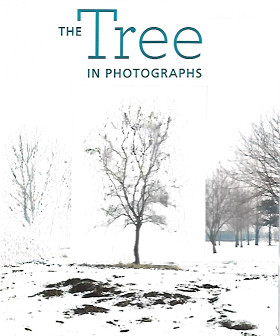 Reynaud, Françoise:The Tree in Photographs