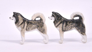 Alaskanmalamuutti rintaneula tai magneetti