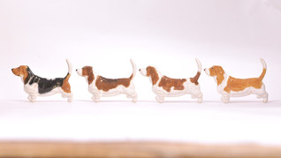 Basset hound  rintaneula tai magneetti