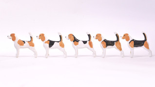 Beagle  rintaneula tai magneetti