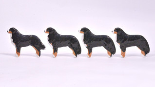 Berninpaimenkoira rintaneula ja magneetti