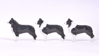 Bordercollie rintaneula tai magneetti