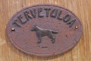 Bullterrieri kyltti