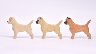 Cairnterrieri rintaneula tai magneetti