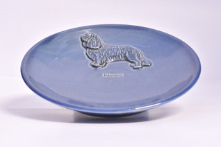 Cavalier king charlesinspanieli teelautanen tai kauhanalunen