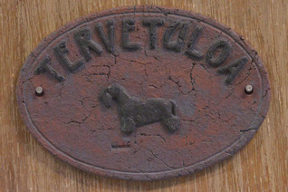 Ceskyterrieri  kyltti