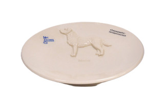 Chesapeakelahdennoutaja teelautanen tai kauhanalunen