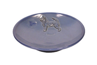 Chihuahua lyhytkarvainen teelautanen tai kauhanalunen