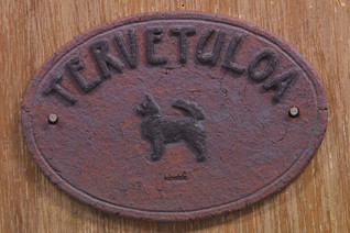 Chihuahua pitkäkarvainen  kyltti