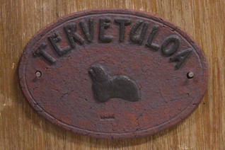 Coton de tulear kyltti