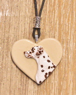 Dalmatiankoira sydänkaulakoru