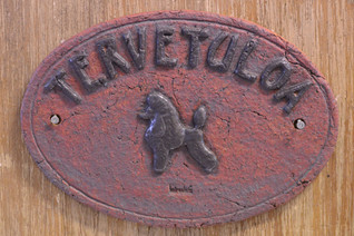 Villakoira näyttelyleikkaus kyltti