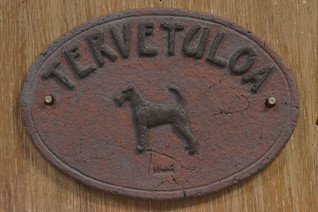 Irlanninterrieri kyltti