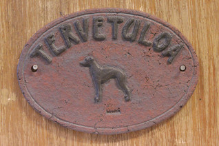 Italianvinttikoira kyltti