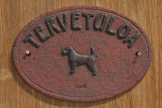 Jack russellinterrieri karkeakarvainen kyltti