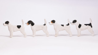 Jack russellinterrieri karkeakarvainen rintaneula tai magneetti