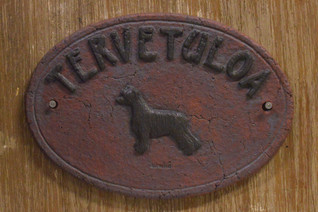 Kiinanharjakoira puuterihuisku kyltti