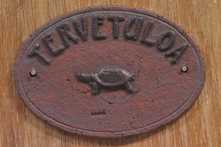 Kilpikonna   - kyltti