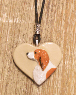 Kooikerhondje sydänkaulakoru