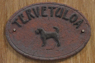 Kromfohrländer kyltti