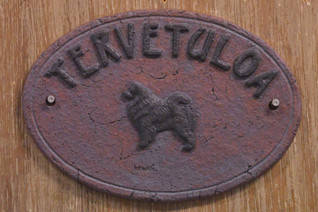 Lapinkoira - suomenlapinkoira kyltti