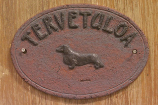 Mäyräkoira pitkäkarvainen kyltti